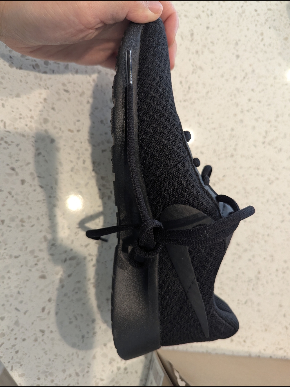 Nike Women's Black Mesh Running Sneaker